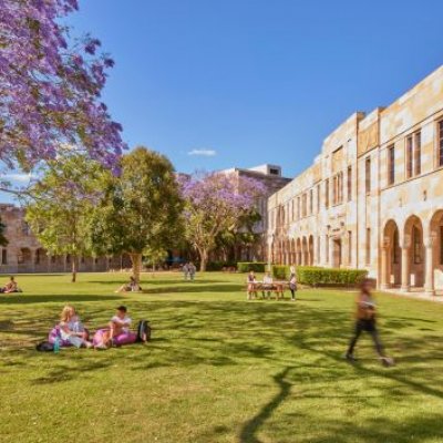 People sitting on a lawn under a jacaranda tree with sandstone buildings behind them. 